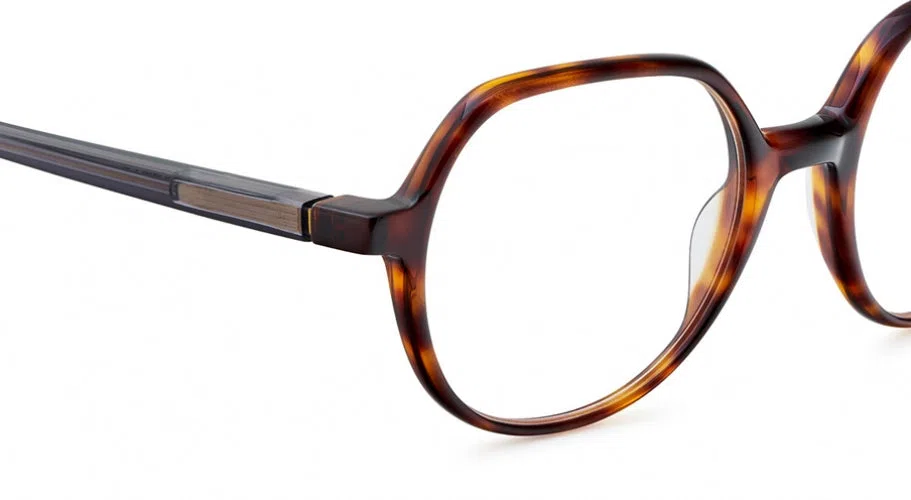 Etnia Barcelona ROBIN Eyeglasses - view 6